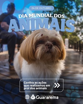 Postagem feita no Instagram da Prefeitura