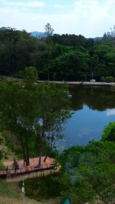 Postagem feita no Instagram da Prefeitura