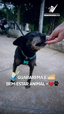 Postagem feita no Instagram da Prefeitura