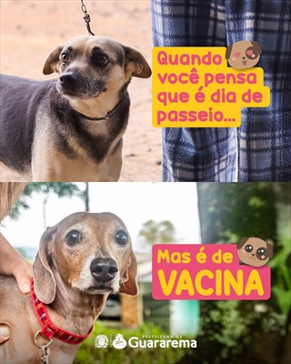 Postagem feita no Instagram da Prefeitura