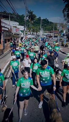 Postagem feita no Instagram da Prefeitura