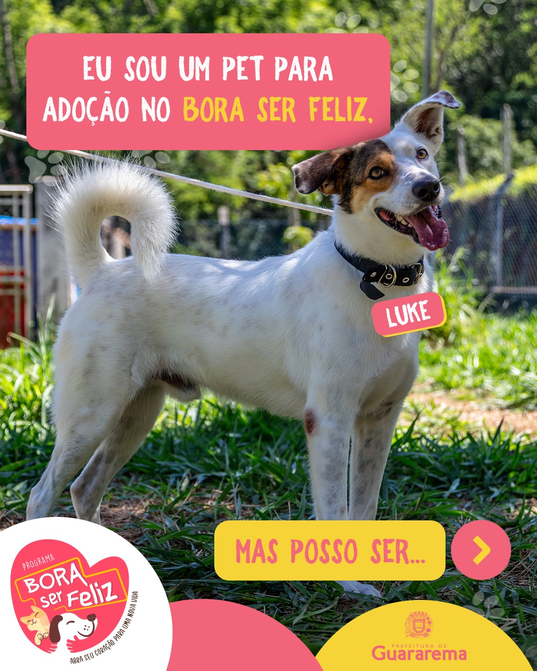 Postagem feita no Instagram da Prefeitura