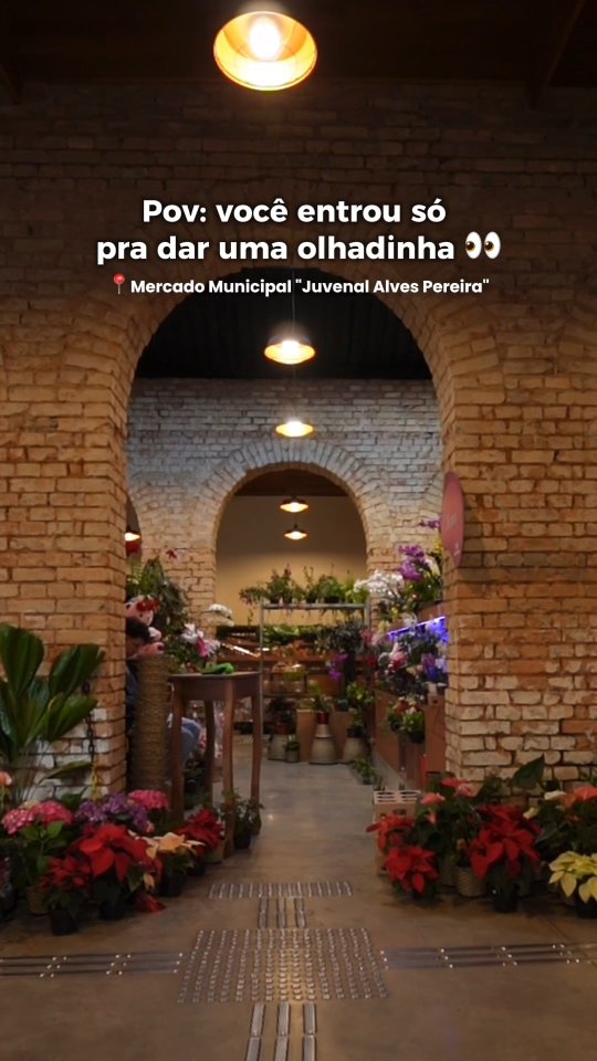 Postagem feita no Instagram da Prefeitura