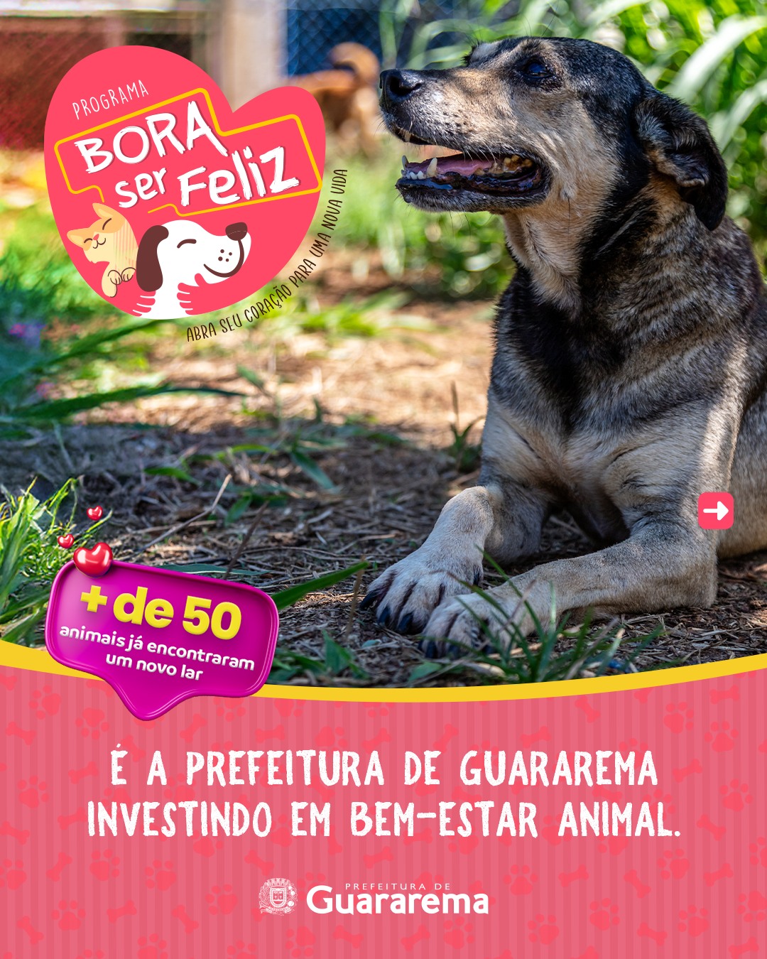 Postagem feita no Instagram da Prefeitura