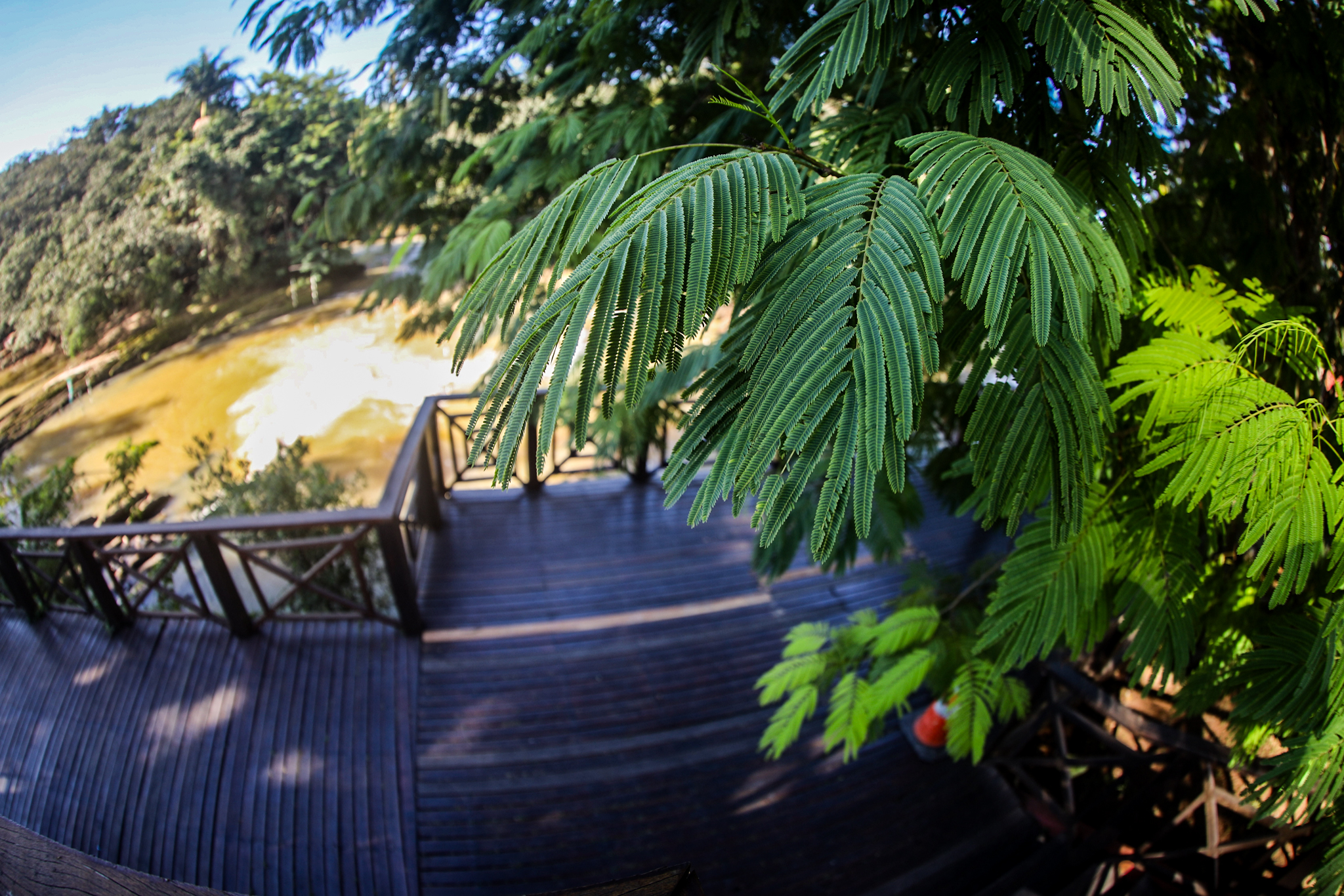 Postagem feita no Instagram da Prefeitura