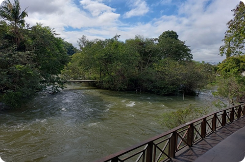 Foto da Natureza