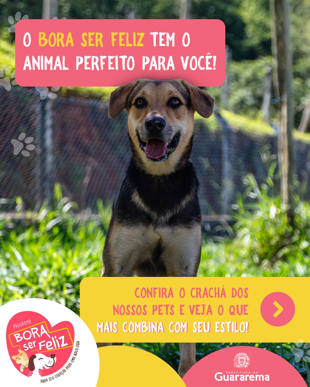 Postagem feita no Instagram da Prefeitura