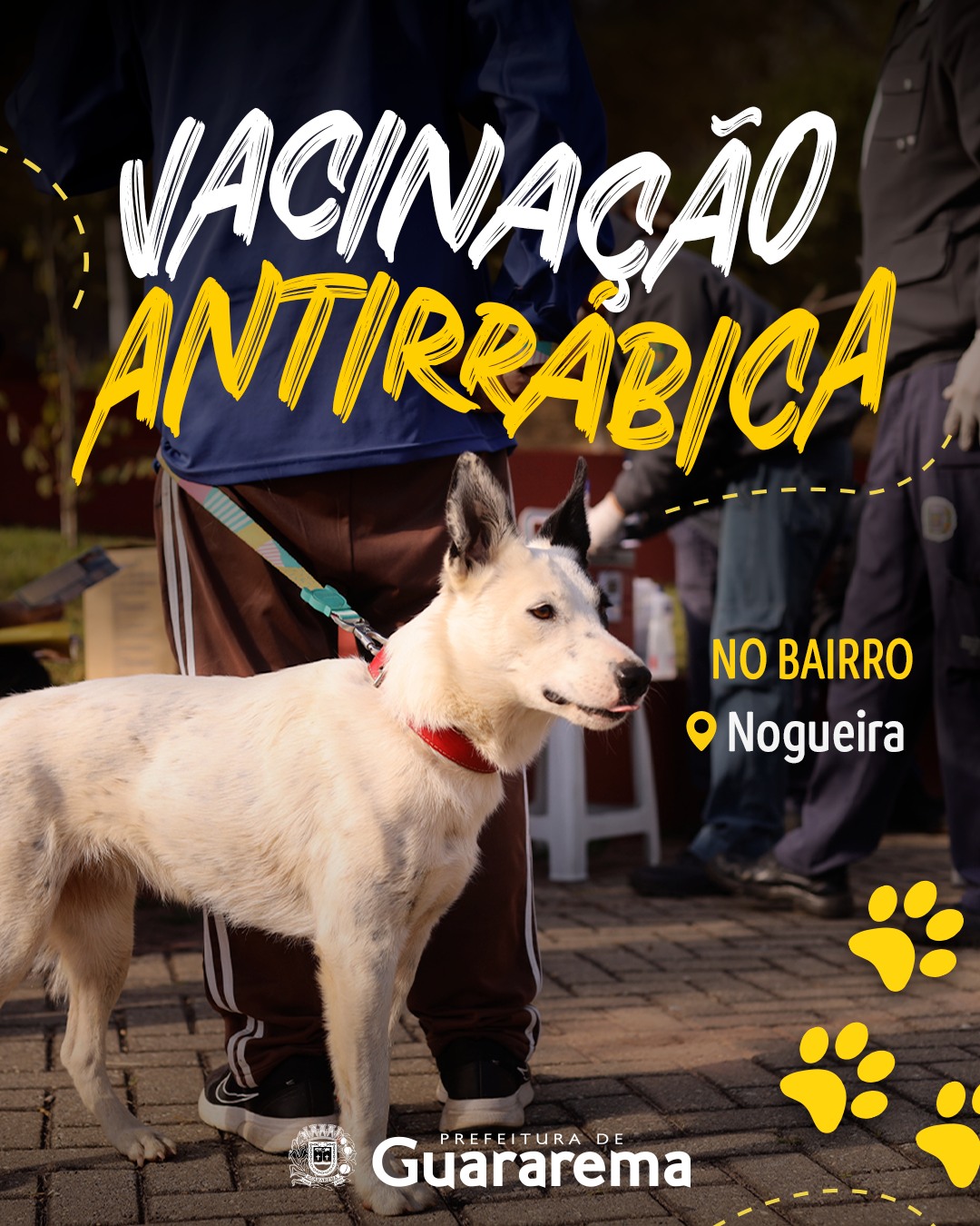 Postagem feita no Instagram da Prefeitura