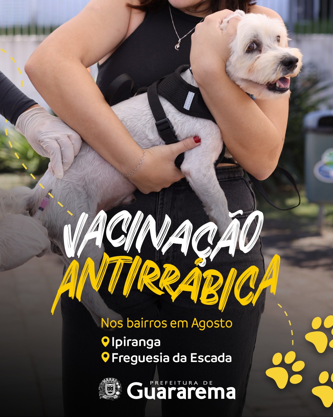 Postagem feita no Instagram da Prefeitura